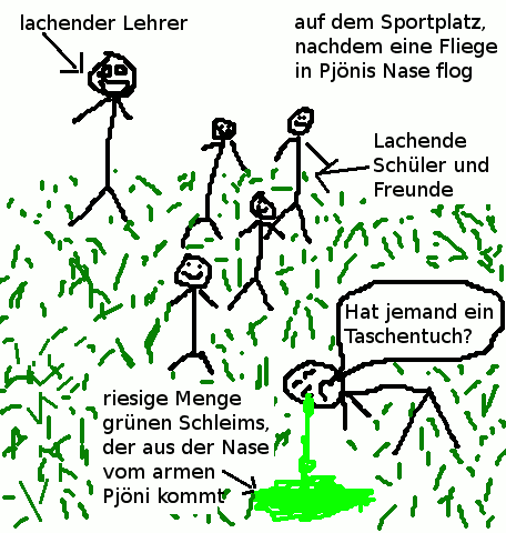 Fliege in der Nase auf dem Sportplatz